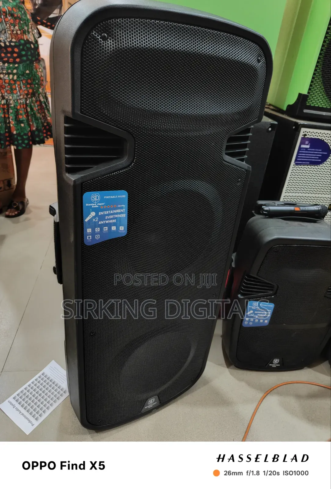 1800 Watts Standard Japan Double Pa System With 2 Wireless Mic