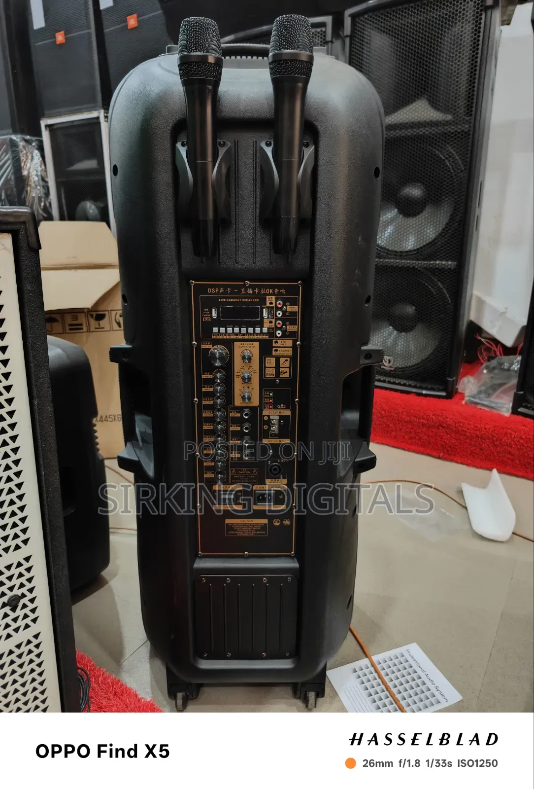 1800 Watts Standard Japan Double Pa System With 2 Wireless Mic