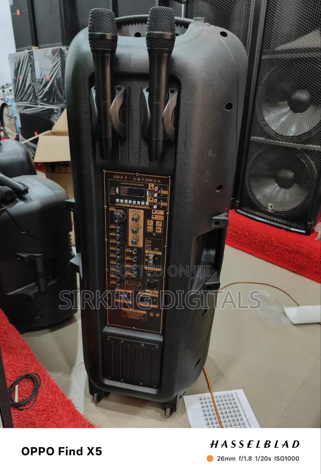 1800 Watts Standard Japan Double Pa System With 2 Wireless Mic