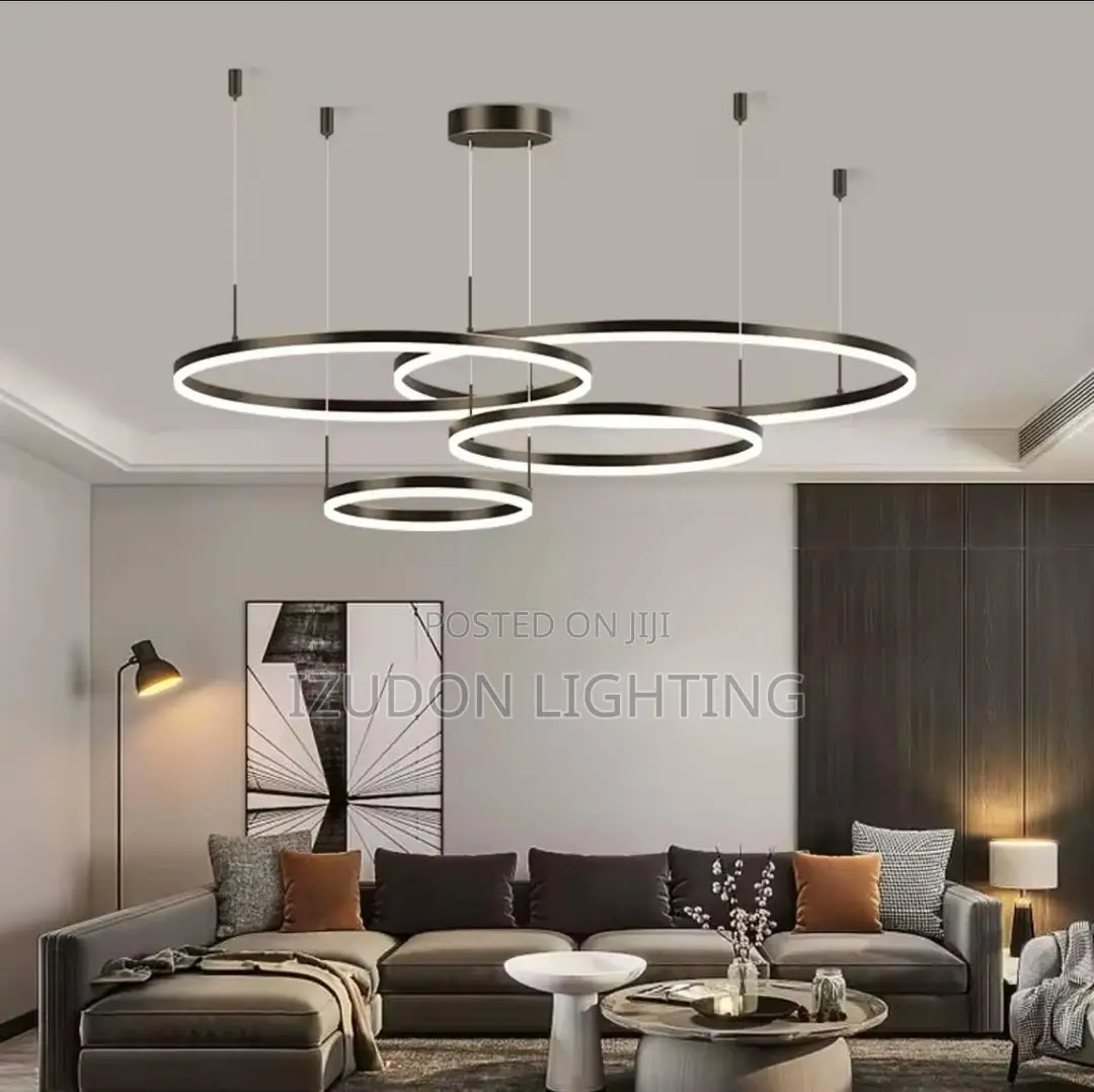 Exotic Modern Round Quality Light