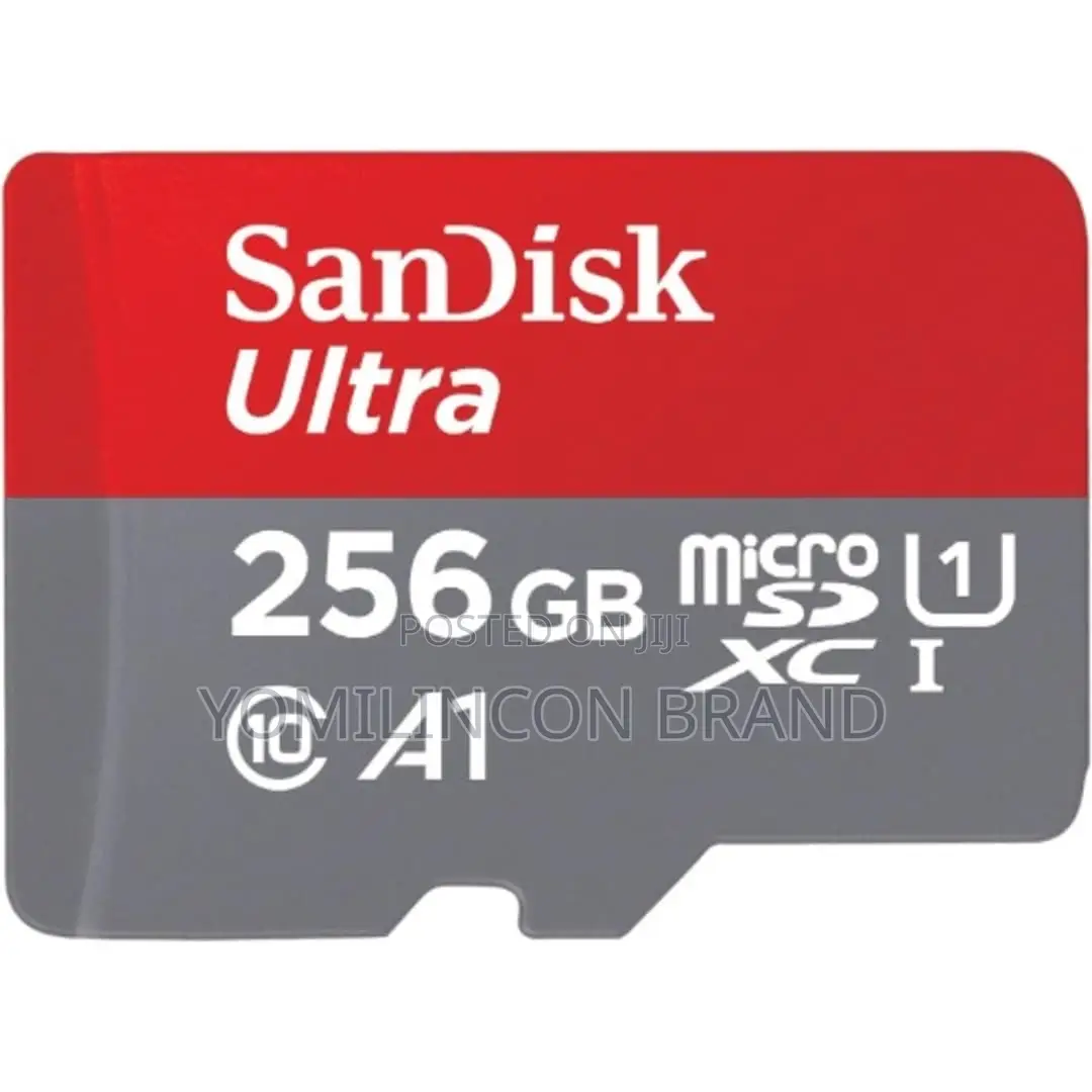 Sandisk Micro Class 10 256gb