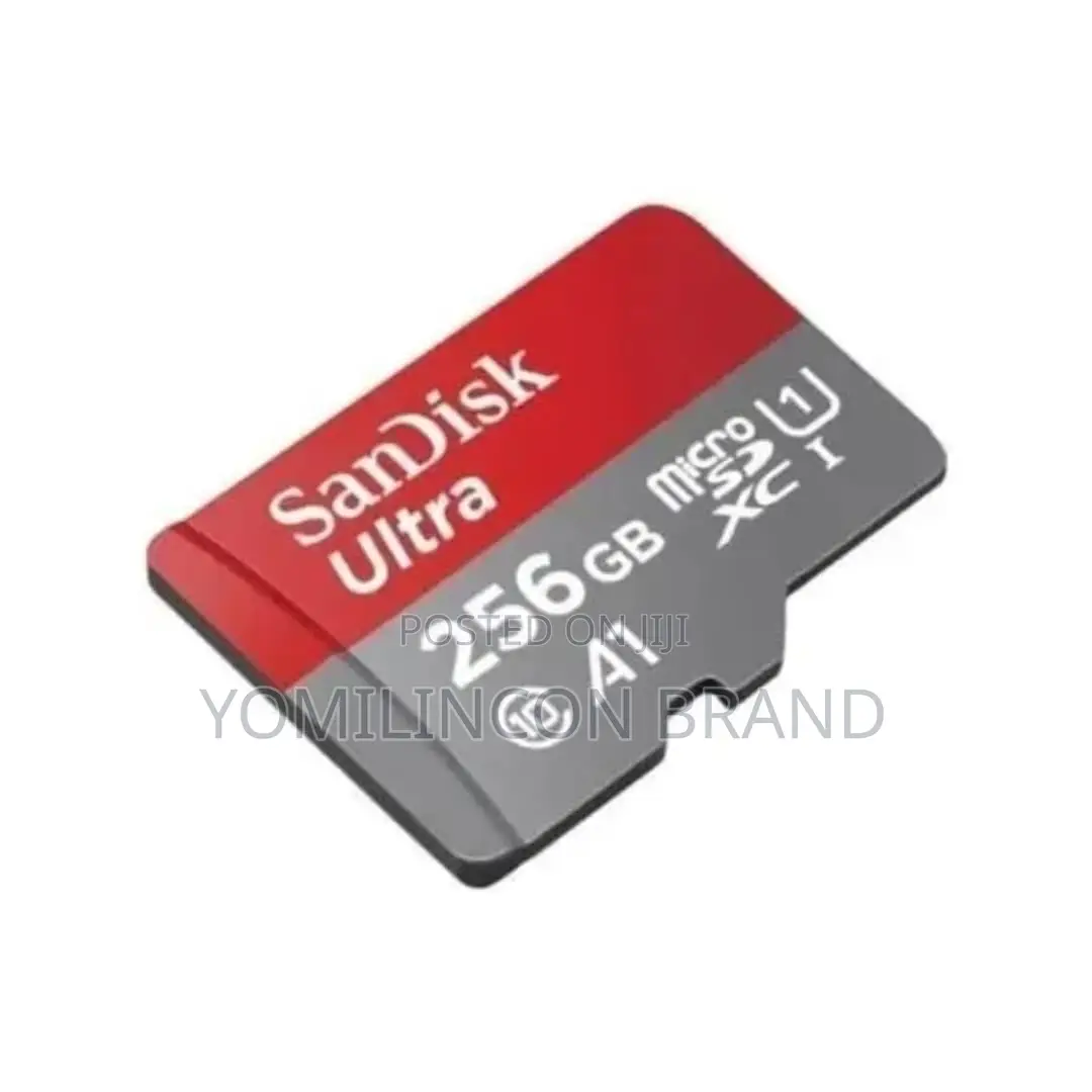 Sandisk Micro Class 10 256gb