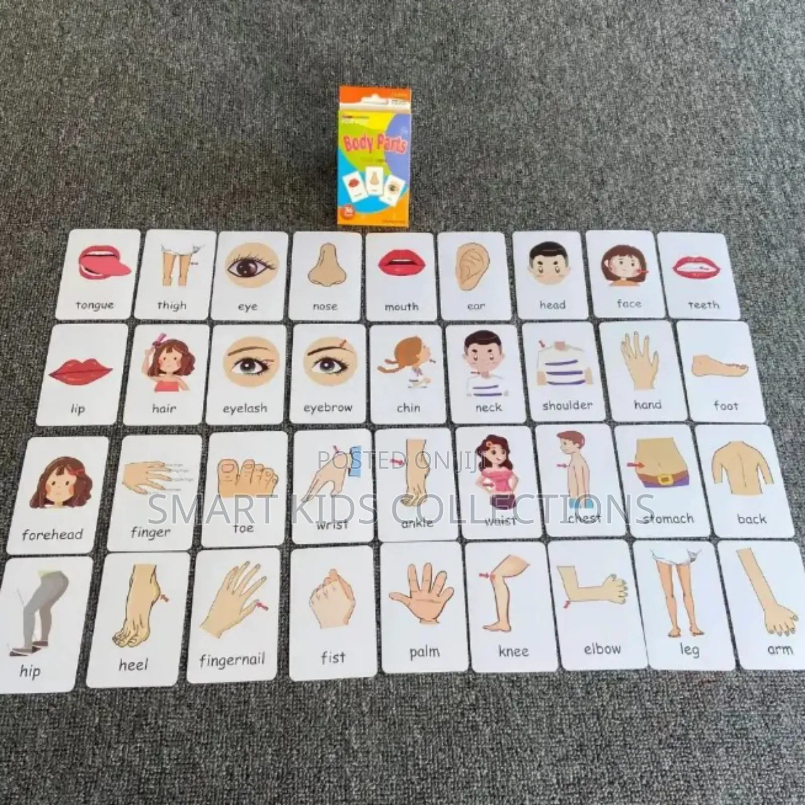 Body Parts Flashcards