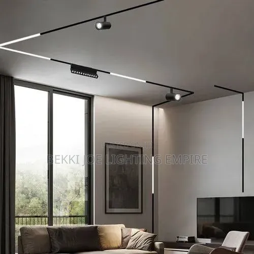 Magnetic Track Light