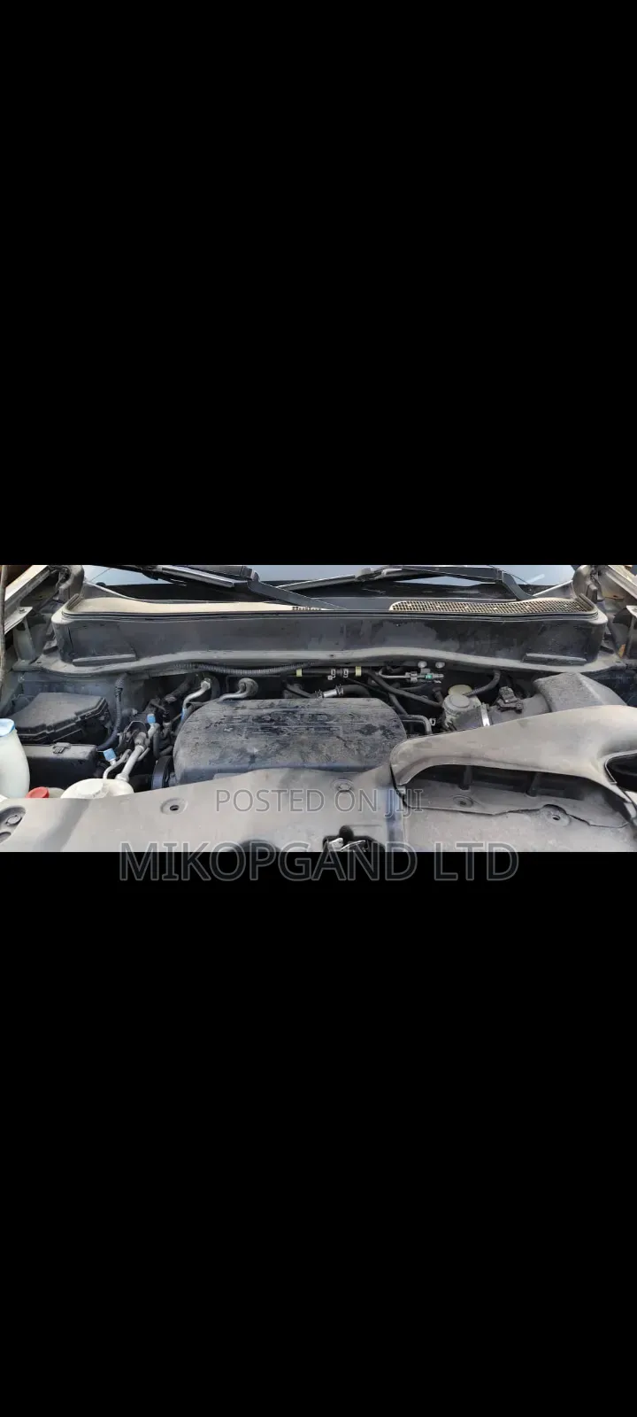 Honda Pilot LX 4dr SUV 4WD (3.5L 6cyl 5A) 2011 Green