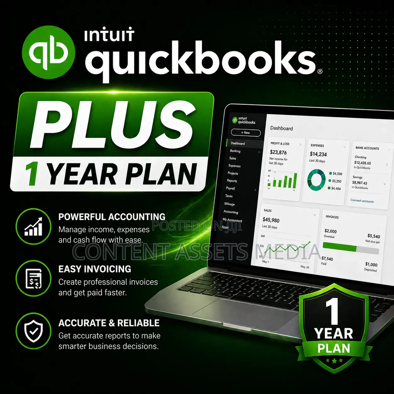 Quickbook Plus 1 Year Plan