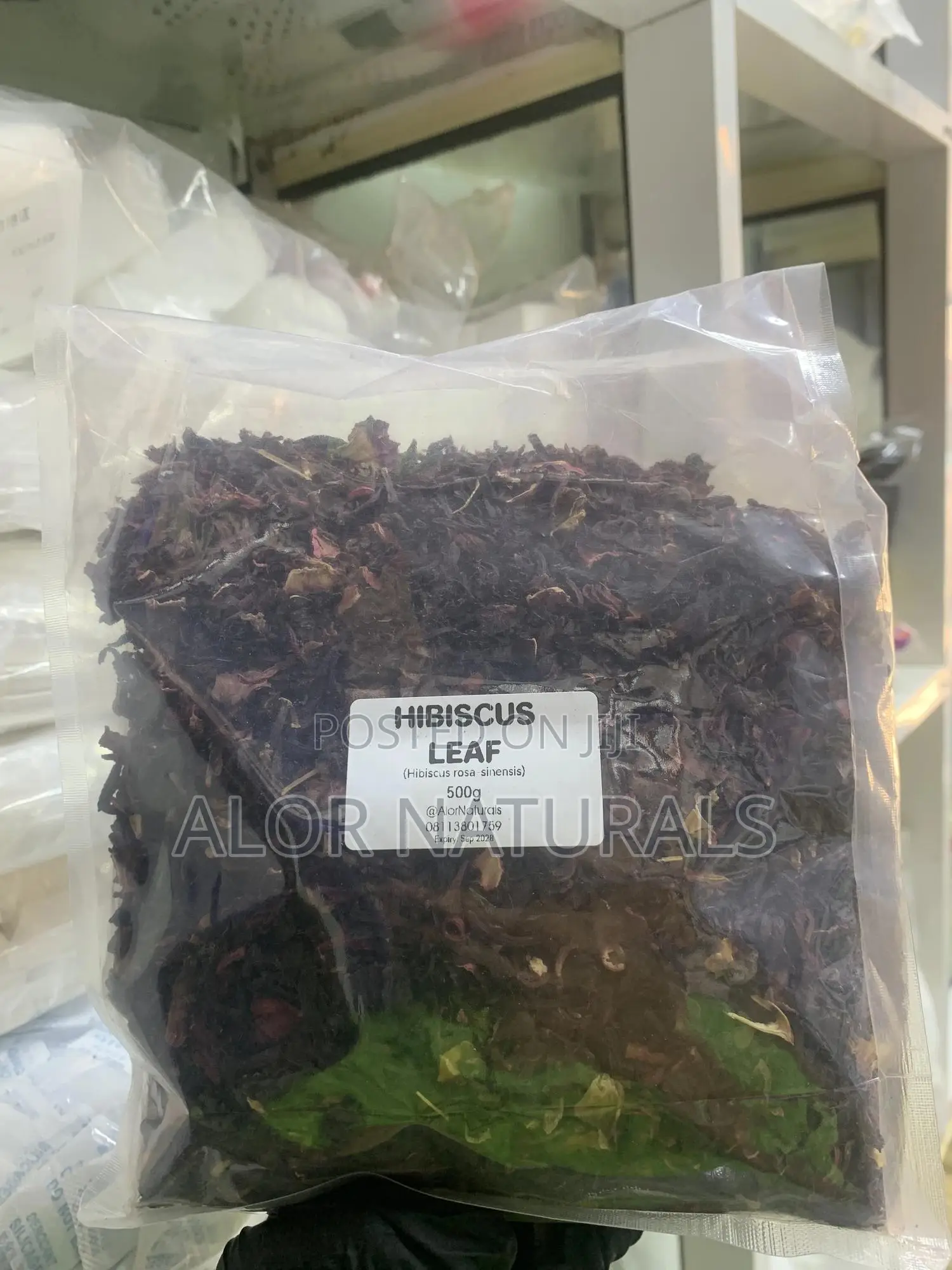 Hibiscus Leaf