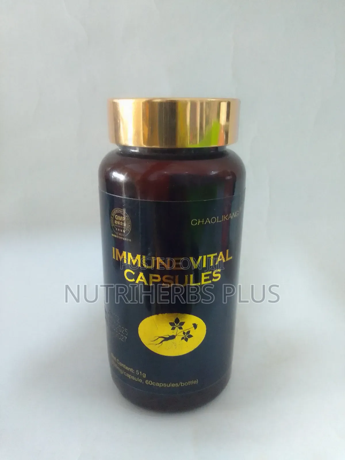 Norland Immune Vital Capsules: For Immune System and Organ Health