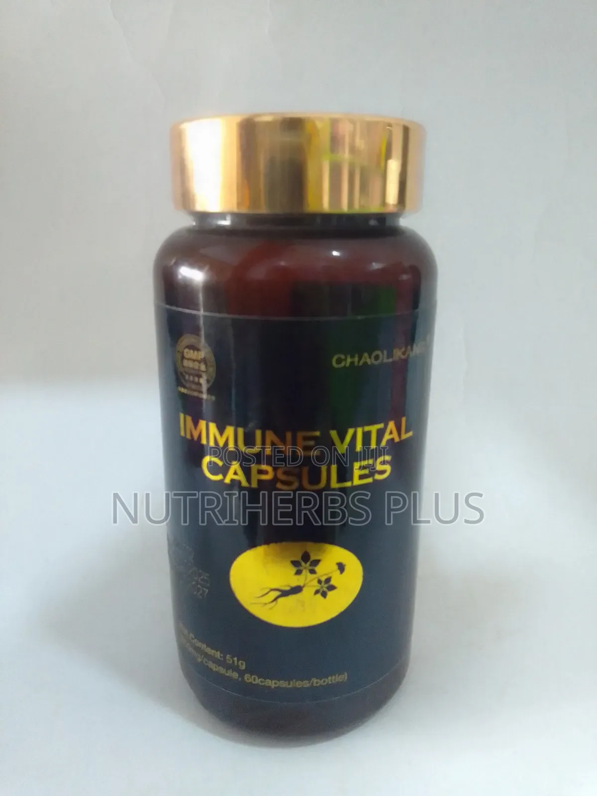 Norland Immune Vital Capsules: For Immune System and Organ Health