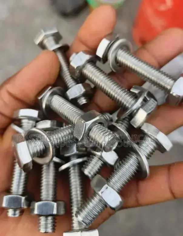 Ass Bolt and Nut