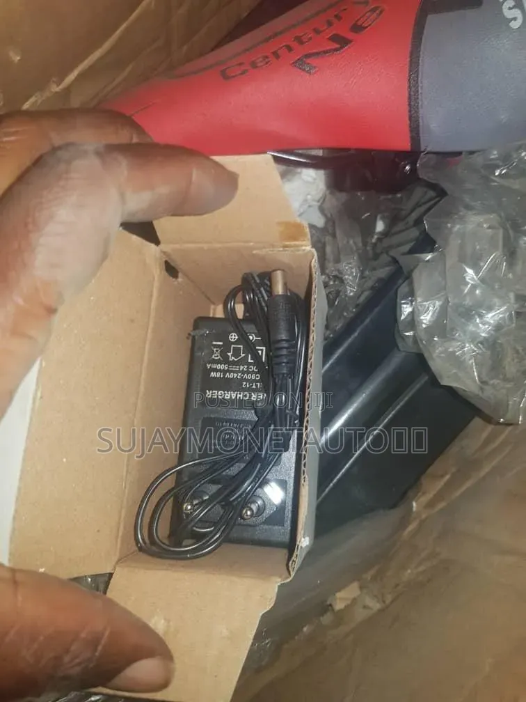 Electric Scooter With Charger