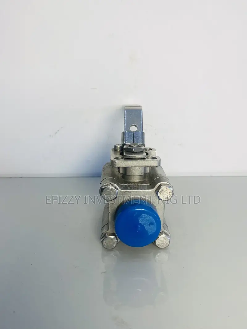Dn25 Ball Valve Zuercher Technik Type A20d(Efy 072)