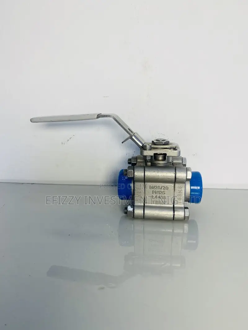 Dn25 Ball Valve Zuercher Technik Type A20d(Efy 072)