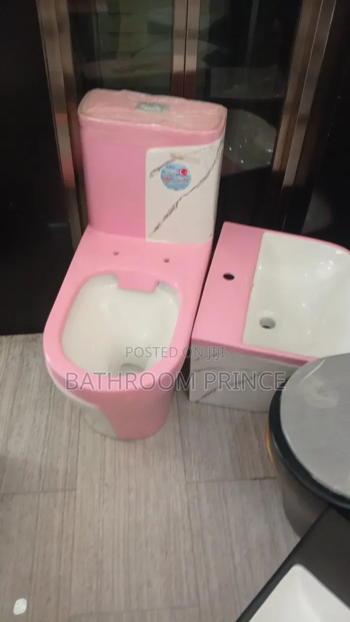 Luxury Pink and Inner White Surface Water Closet