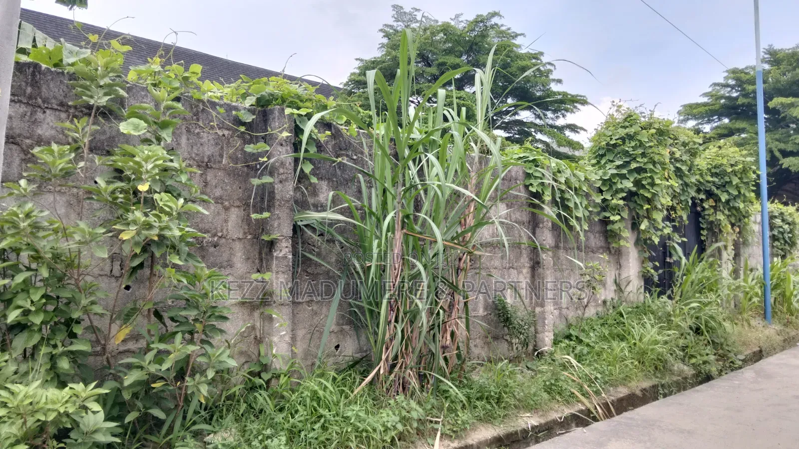 For Sale : 30 Plots in Umudike, Umuahia, Abia State