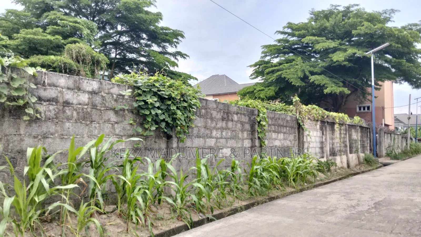 For Sale : 30 Plots in Umudike, Umuahia, Abia State