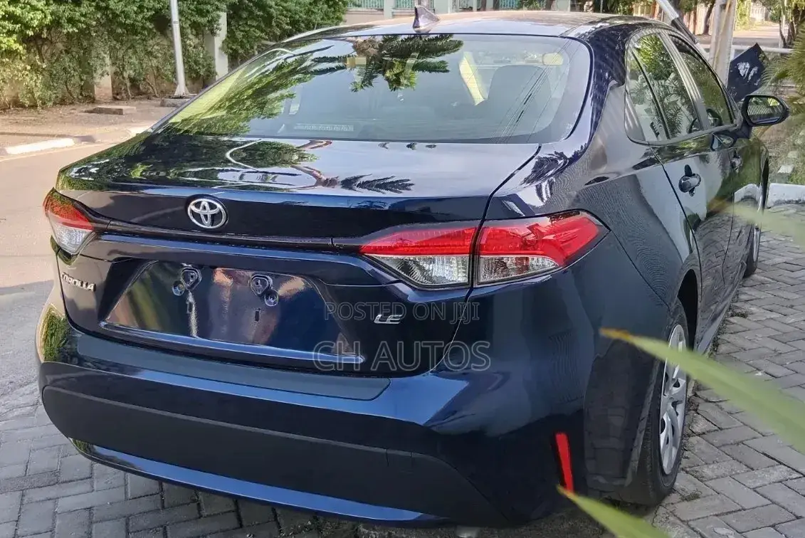 Toyota Corolla LE 2020 Blue