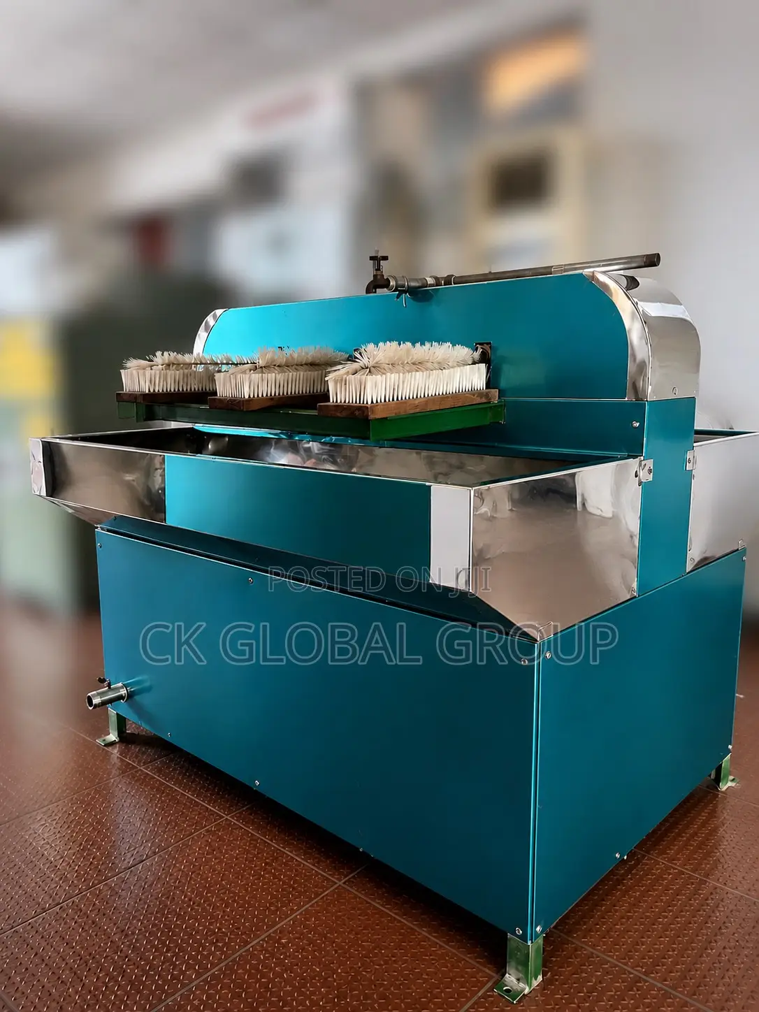 Bottle Washing Machine ( Semi-Automatic Brush-Type )