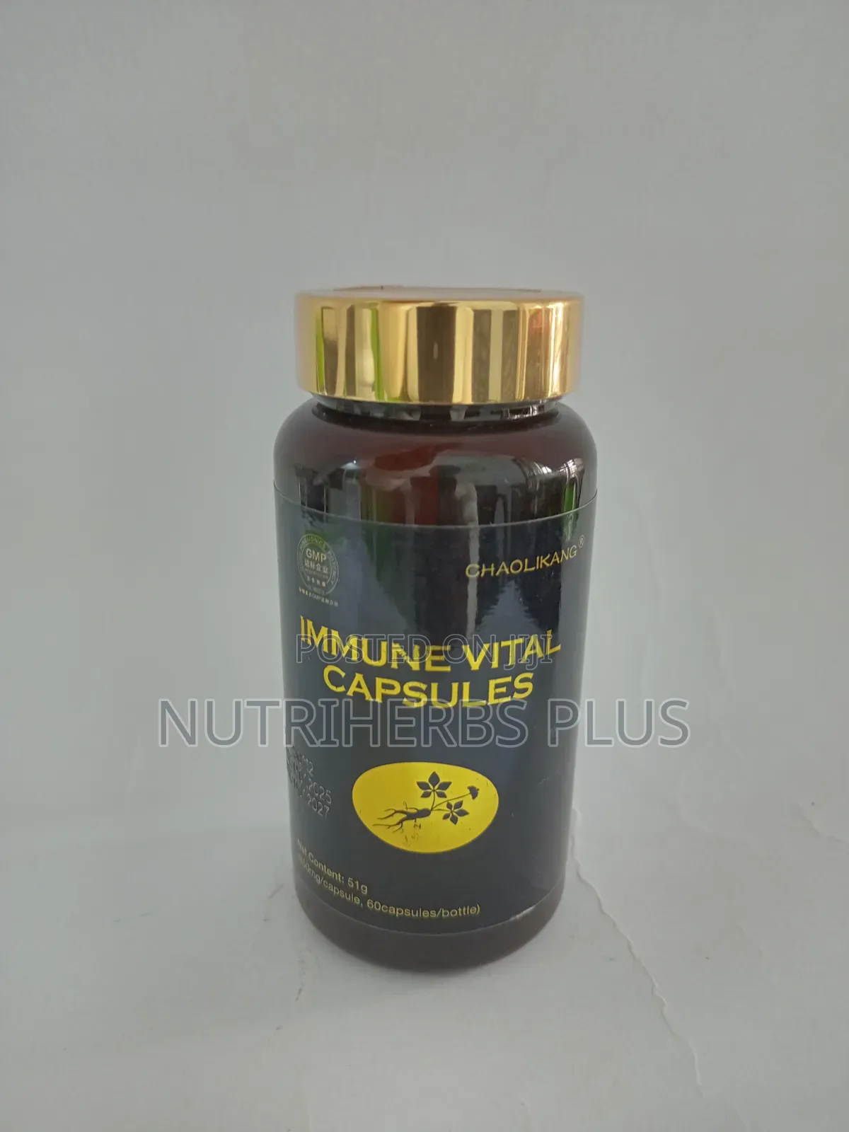 Norland Immune Vital Capsules: Immune System Booster