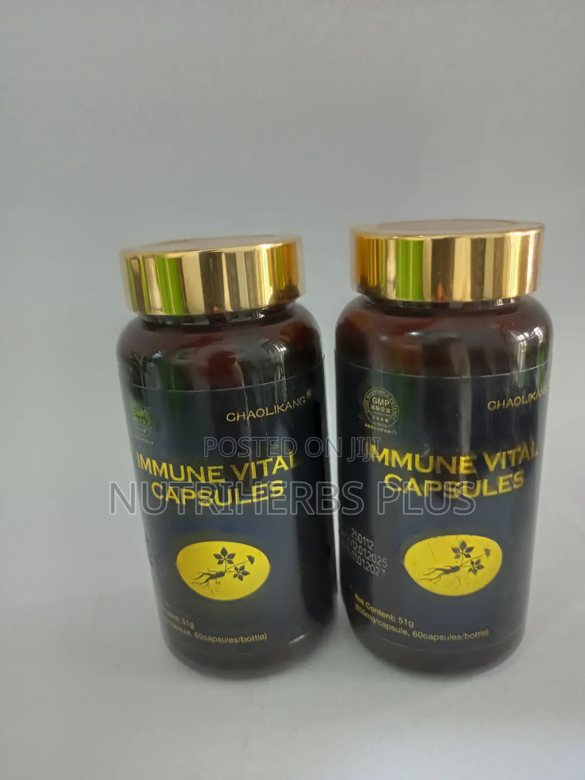 Norland Immune Vital Capsules: Immune Support(2 Bottle)