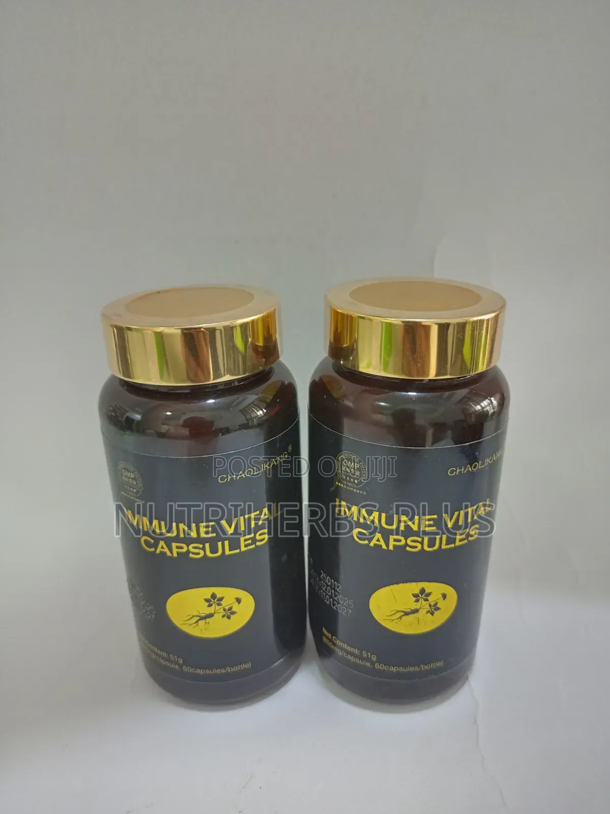 Norland Immune Vital Capsules: Immune Support(2 Bottle)