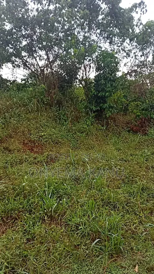 15 Plots At Rock Bottom Price.