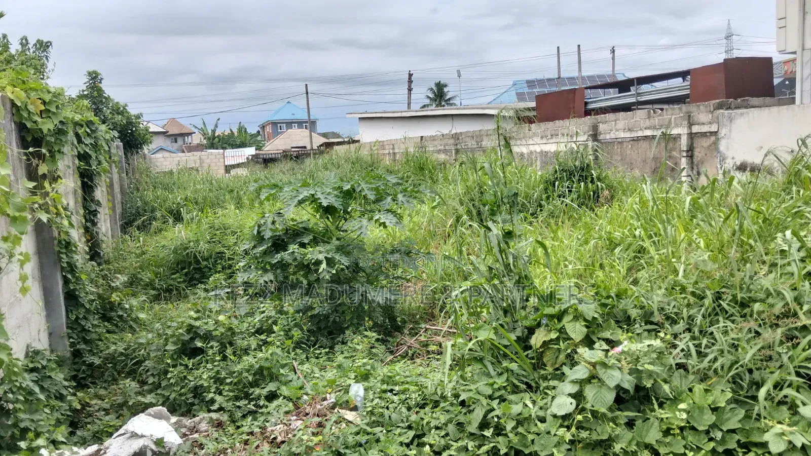 For Sale : Fenced 100% Dried Plot at Cedarwood Gardens Estate, Ph