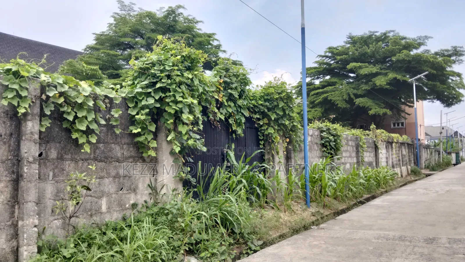 For Sale : Fenced 100% Dried Plot at Cedarwood Gardens Estate, Ph