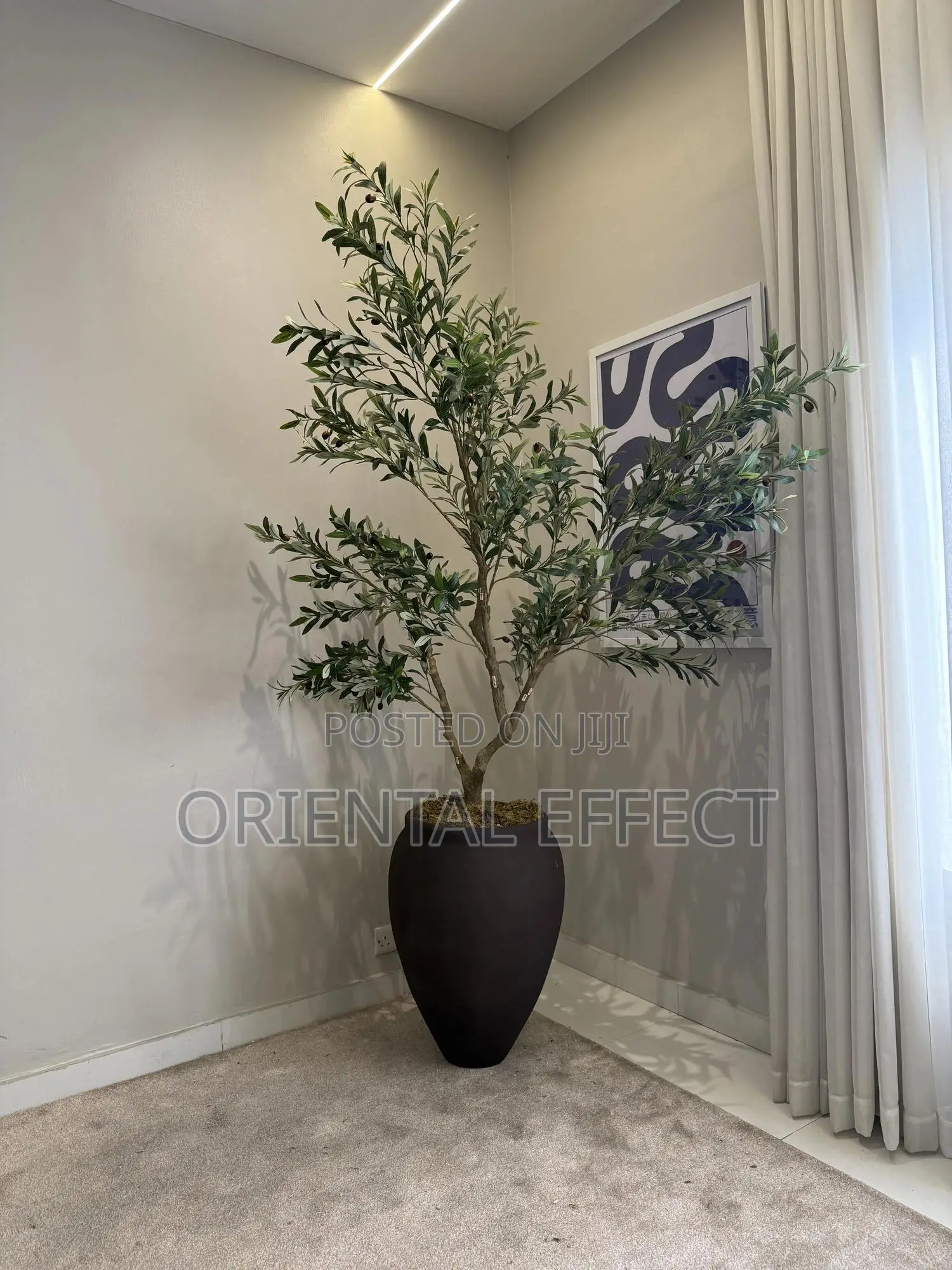 Luxury Home Decor Olive Tree Flower Pot | Interior Design Nigeria