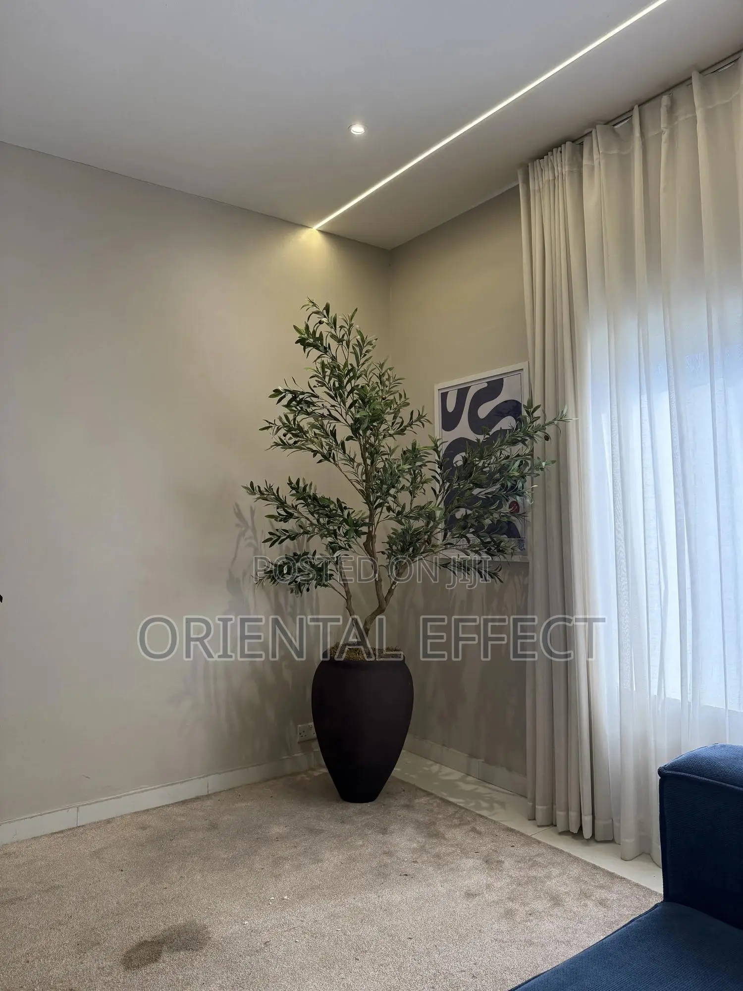 Luxury Home Decor Olive Tree Flower Pot | Interior Design Nigeria