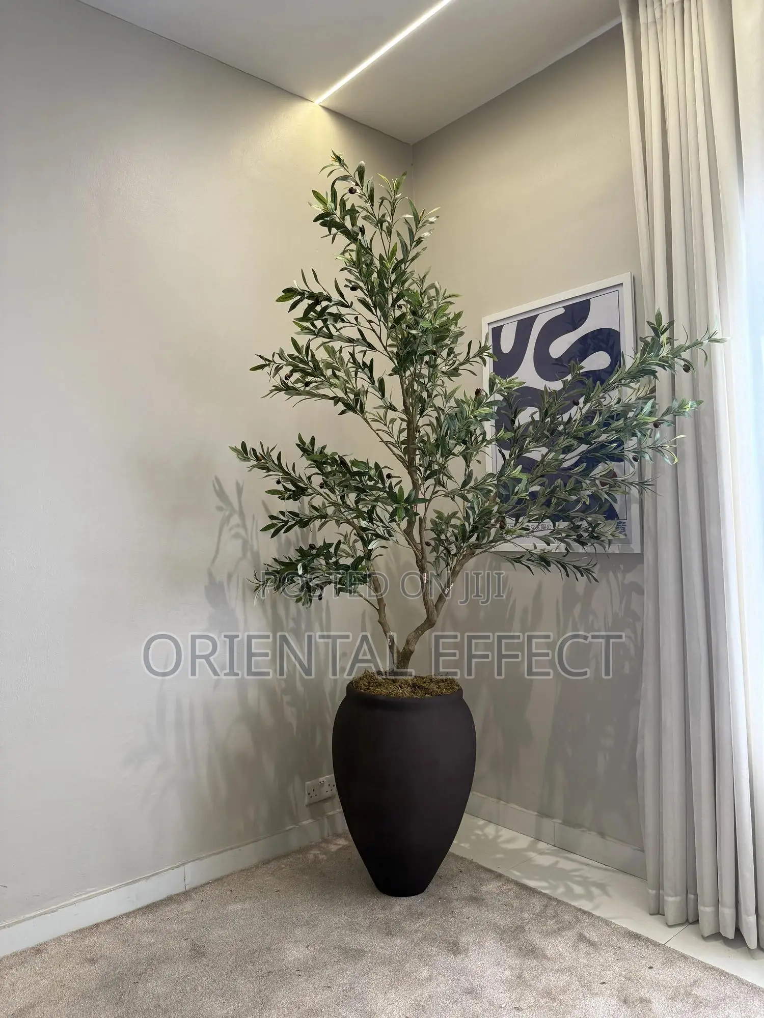 Luxury Home Decor Olive Tree Flower Pot | Interior Design Nigeria