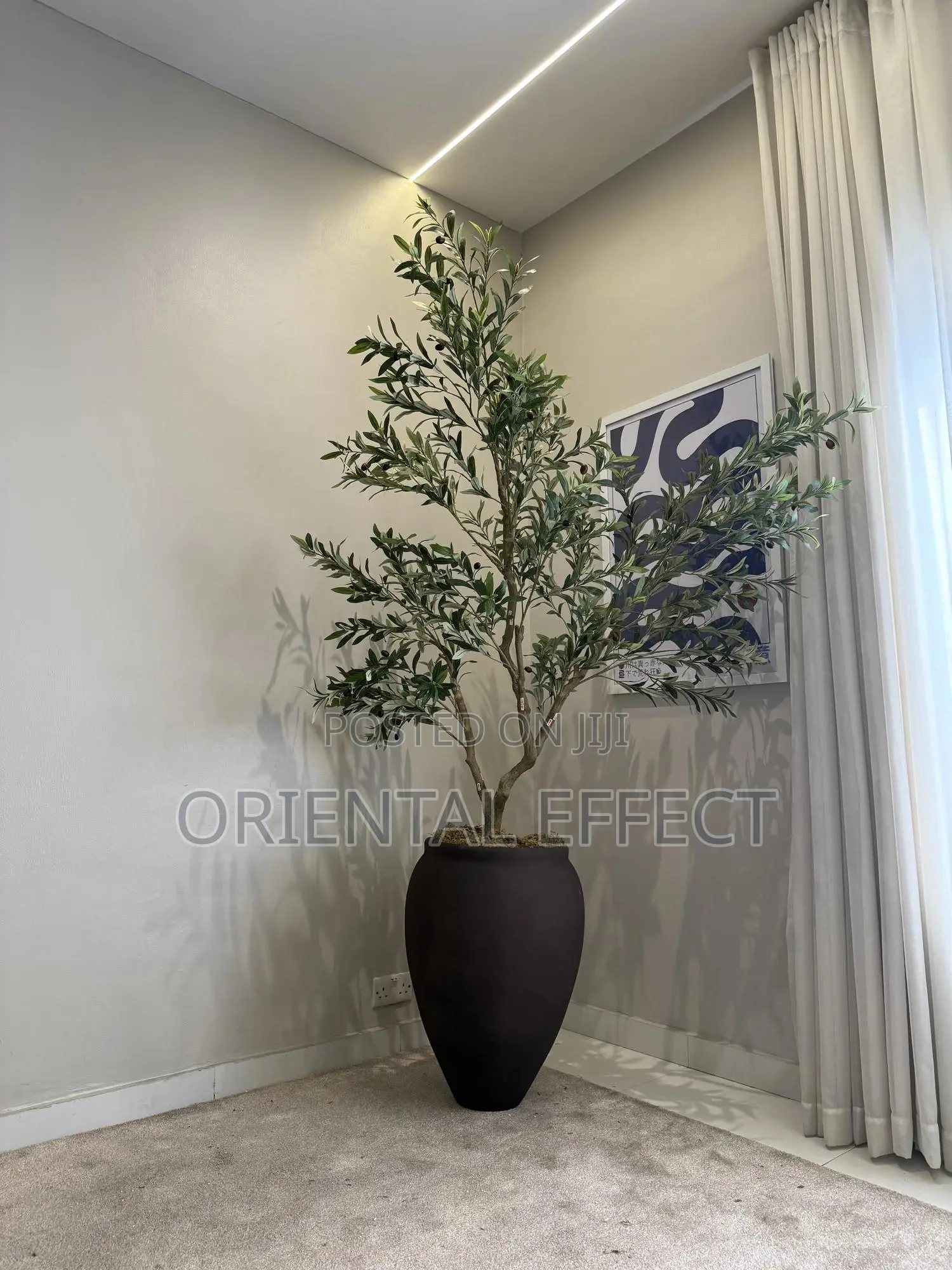 Luxury Home Decor Olive Tree Flower Pot | Interior Design Nigeria