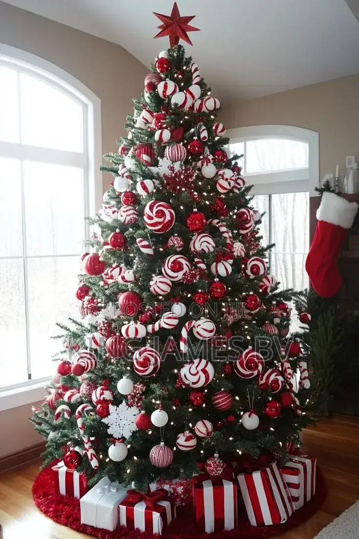 Contact for Your Festive Christmas Tree