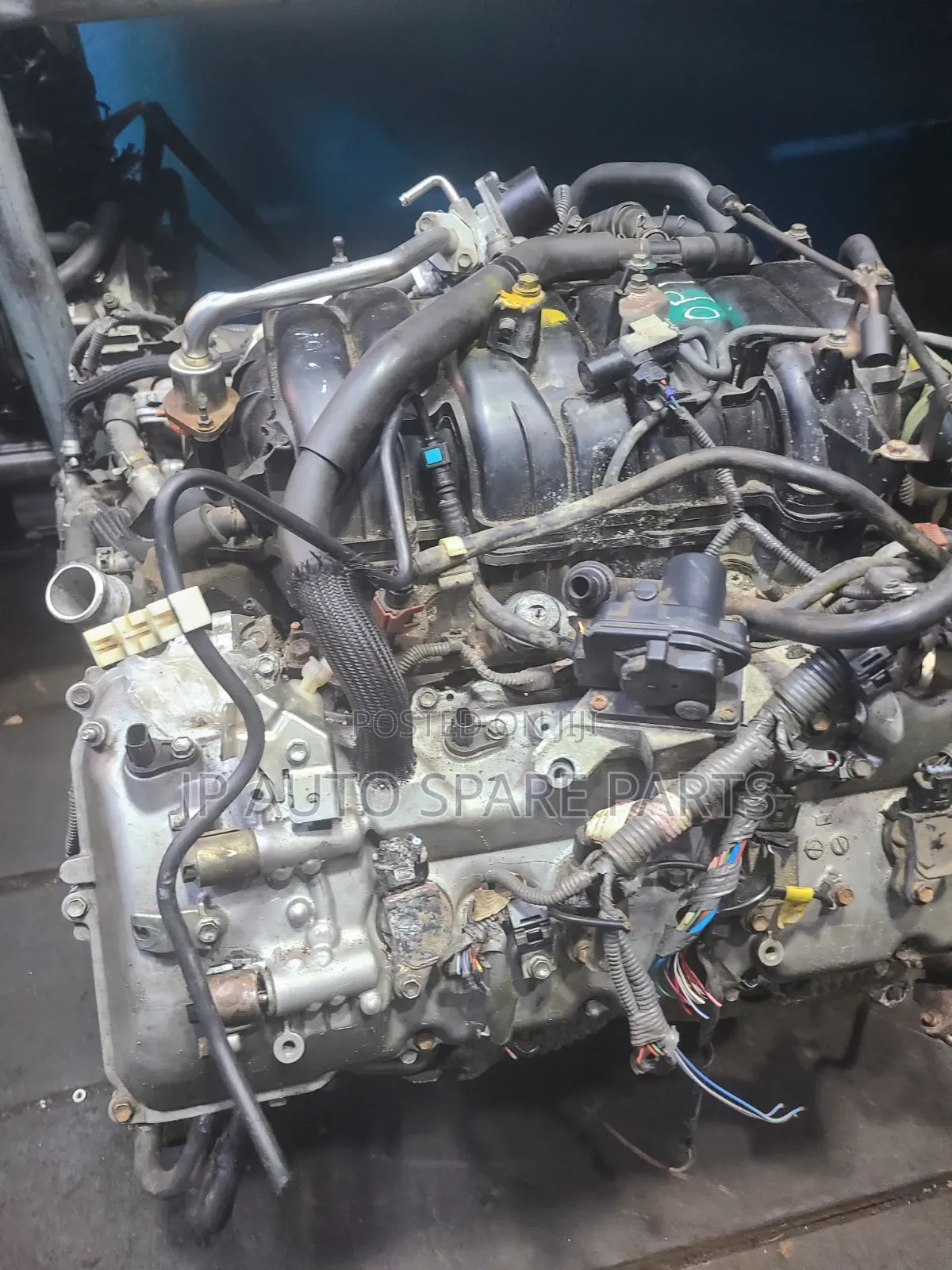 Lexus Lx570 Direct Tokubo Engine