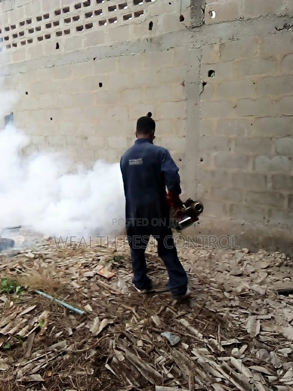 Kill All Pests at Affordable Rates