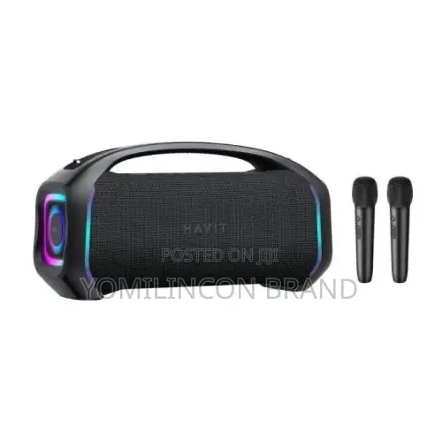Havit Sk910 With 2 Microphone