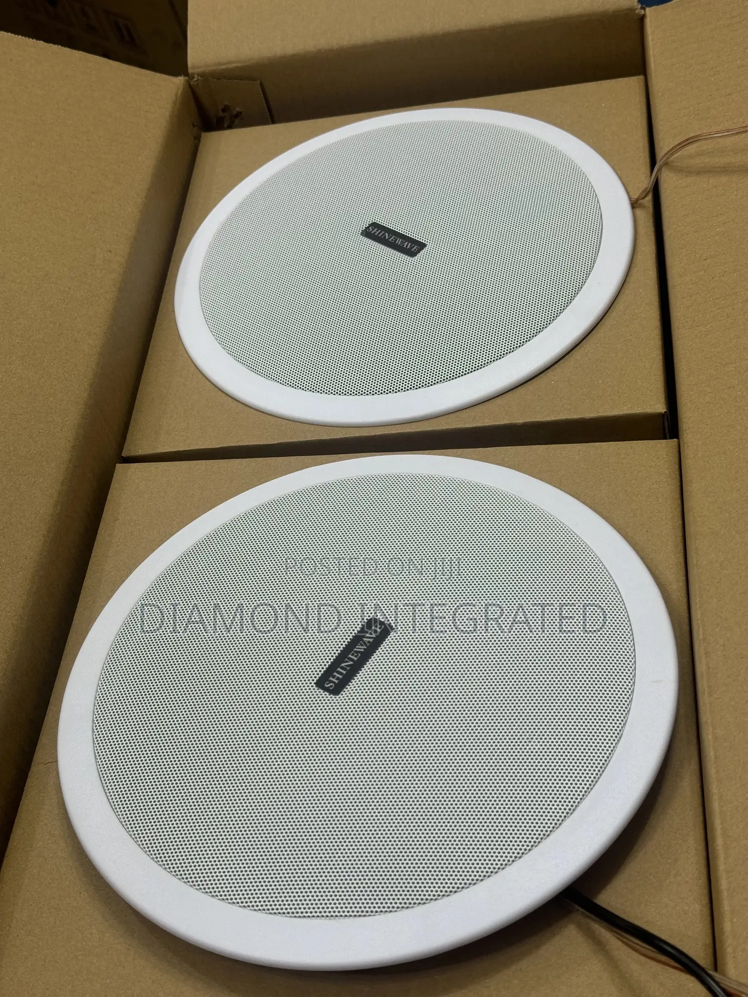 2 in 1 Lucky Tone Bluetooth Ceiling Speaker