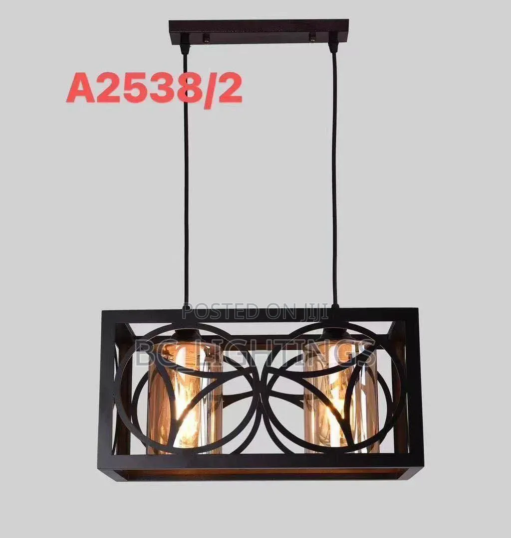 Modern 2 Glass Iron Pendant Light