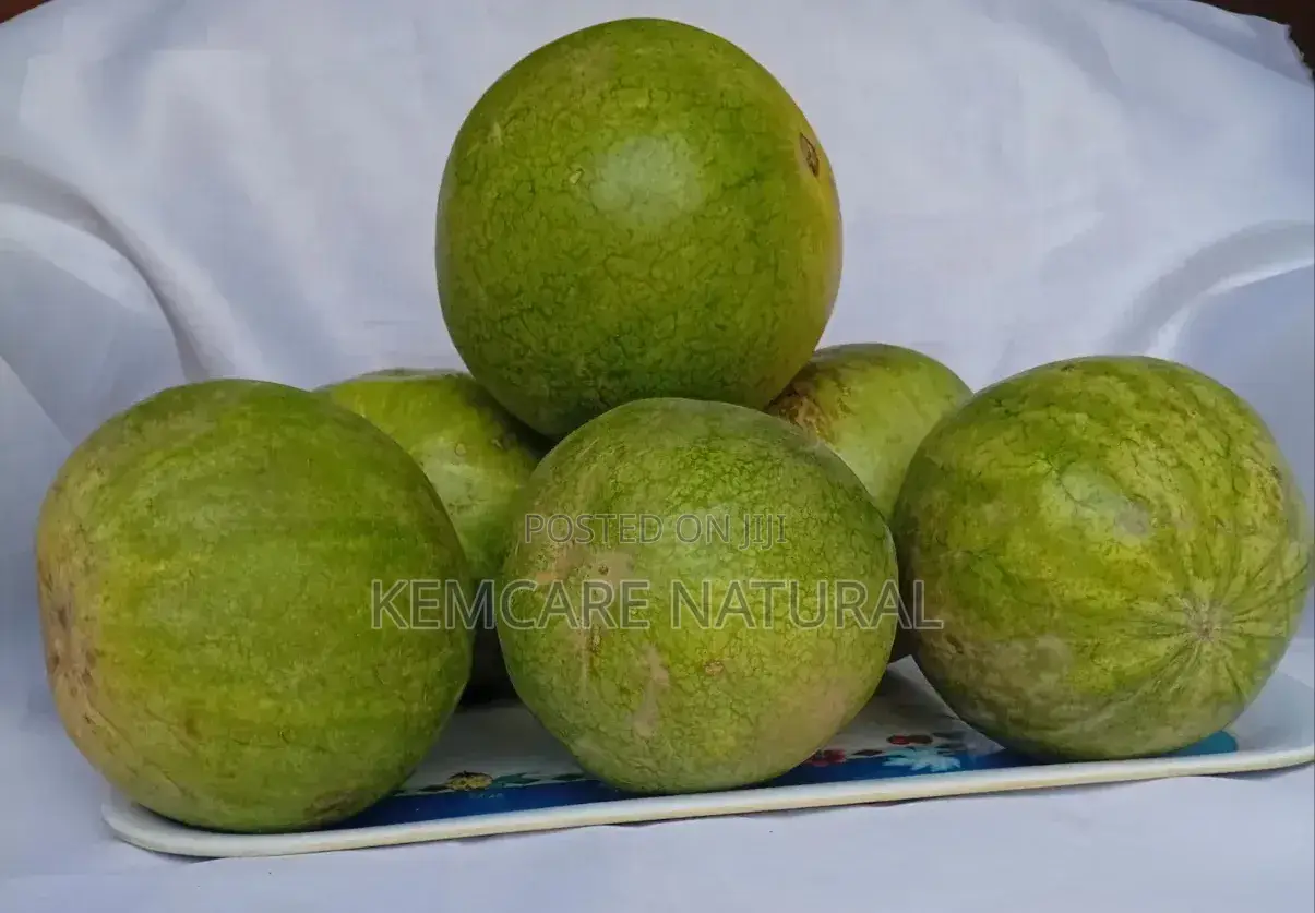 Bitter Melon Guard Available in Stock at Kemcare Natural