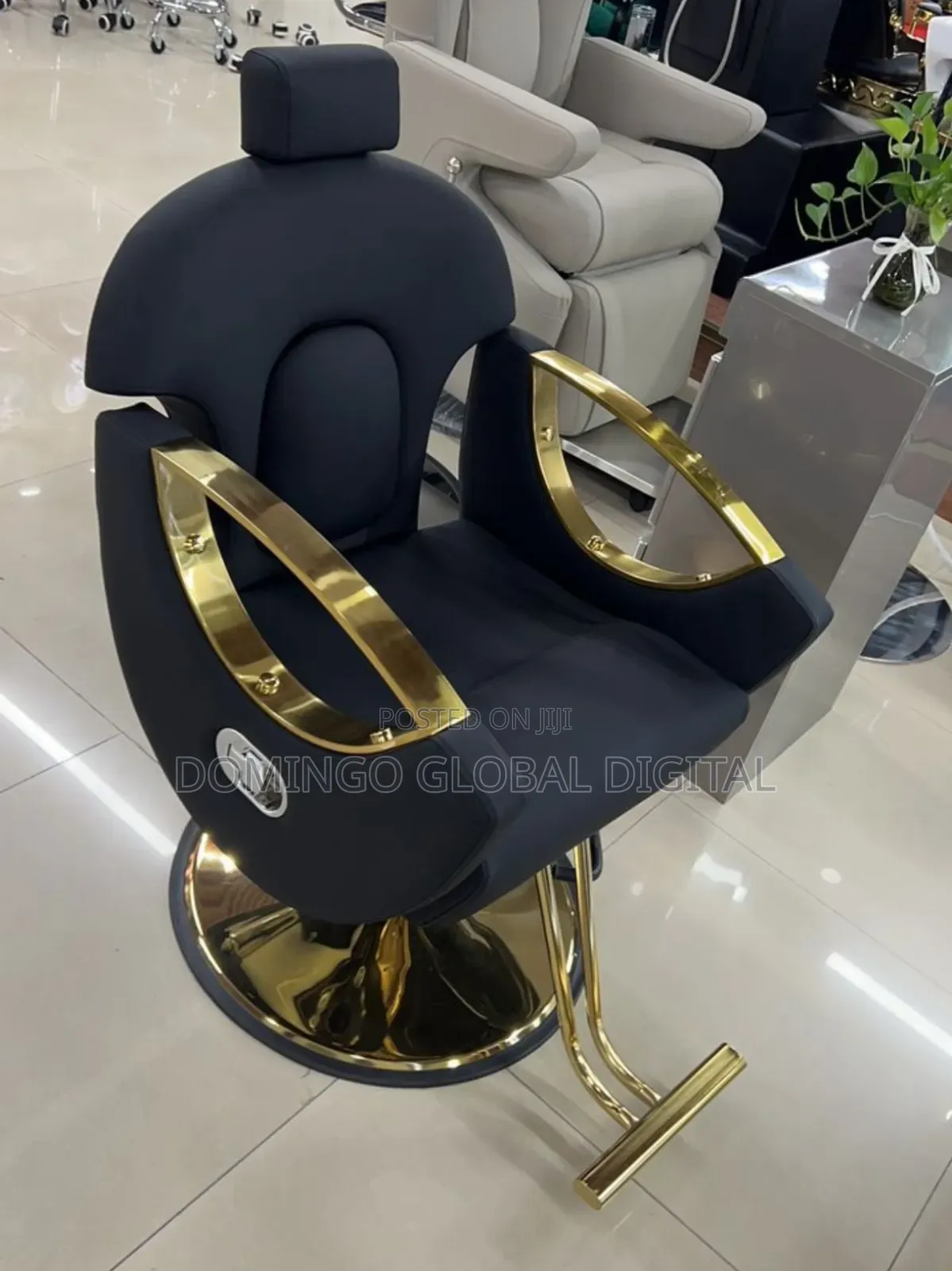 Salon Chair