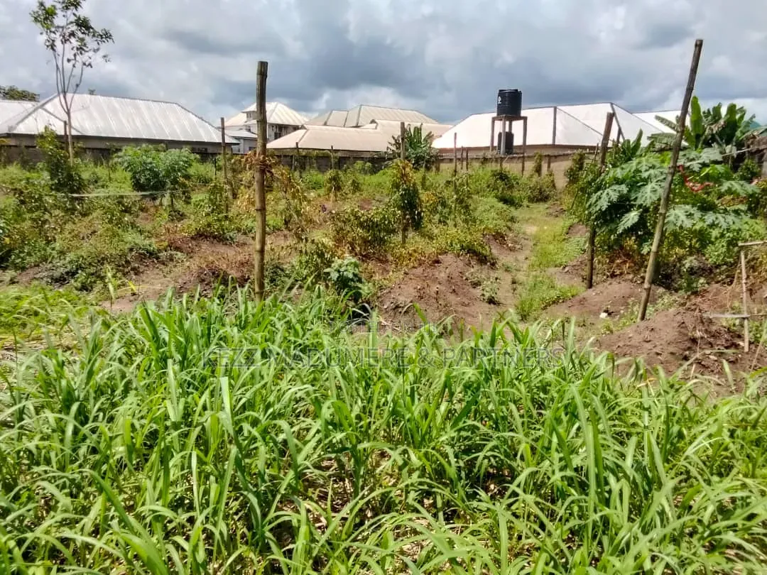 For Sale : 23 Plots at Aba Road, Naze, Owerri, Imo State