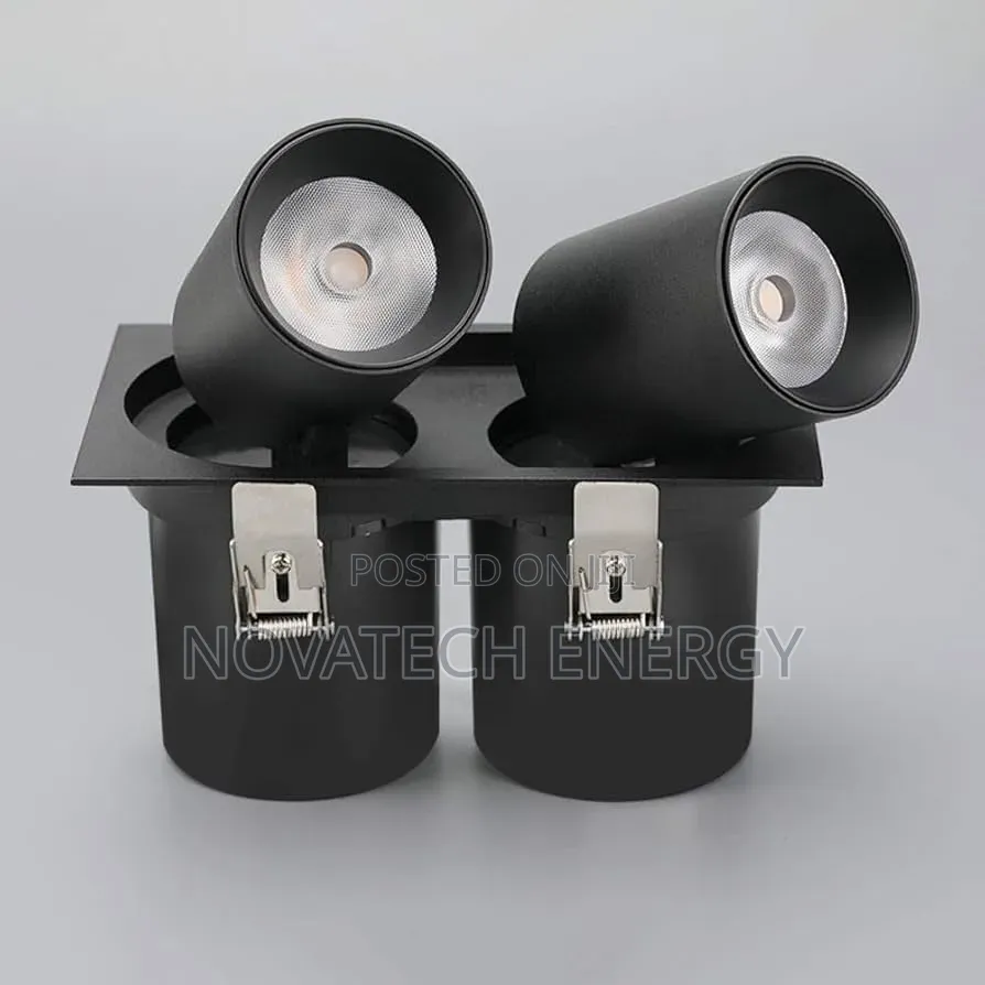 Quality Double Retractable and Adjustable Spot Recess Led Light