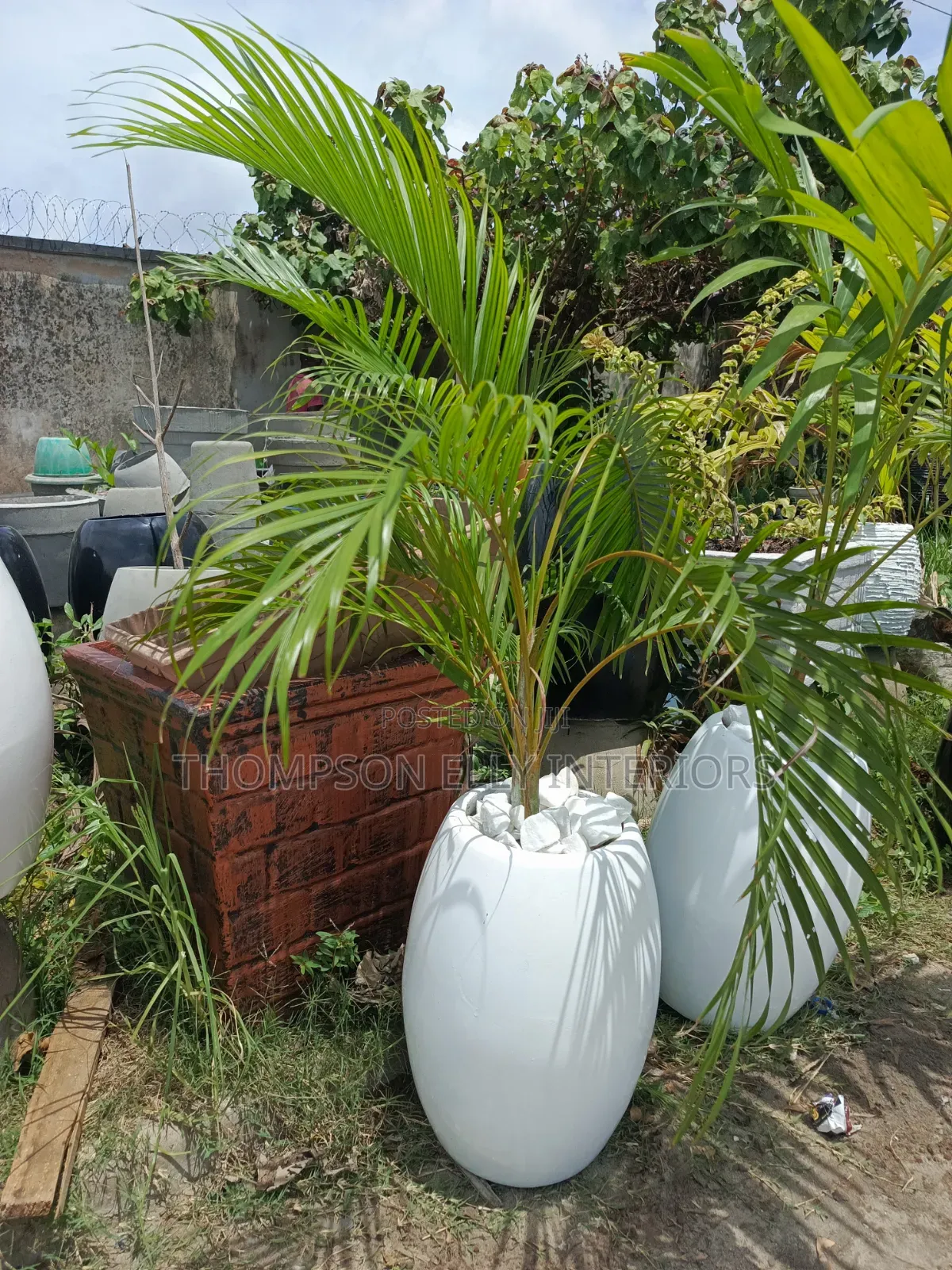Glossy Egg -Shape Decor Planter Plant Setup