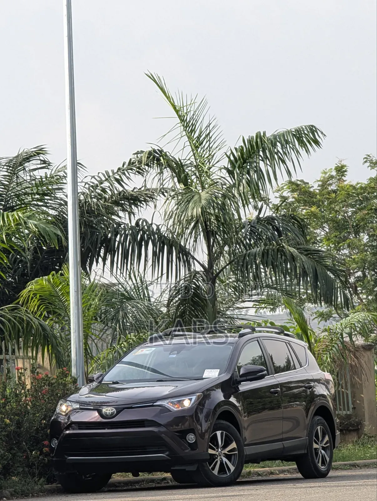 Toyota RAV4 2018 Purple
