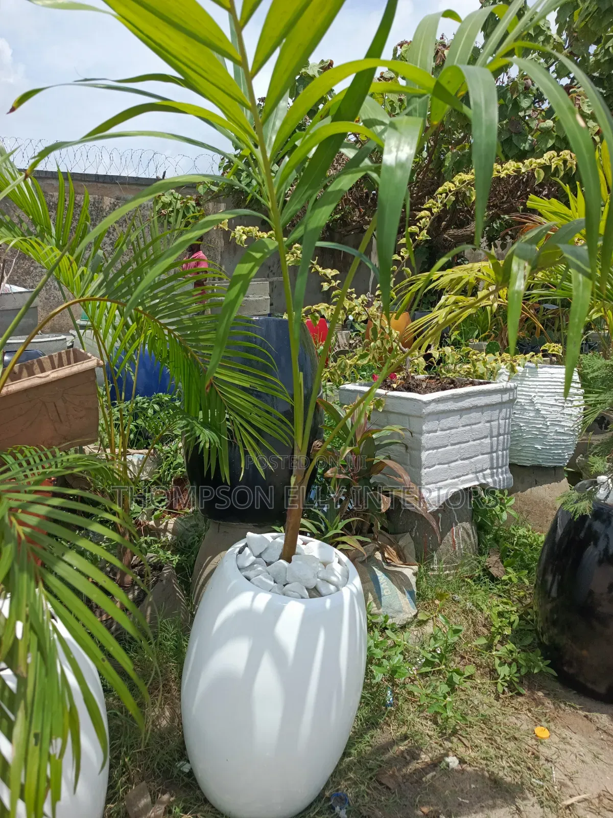 Horticulture in Landscaping Garden Services