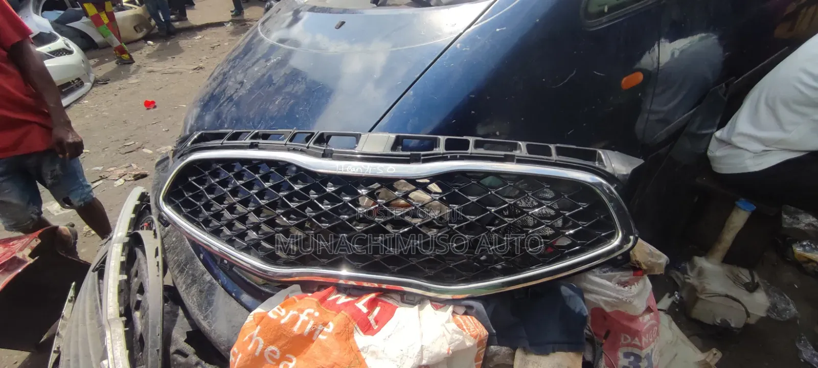 Front Grill Kia Cadenza 2015
