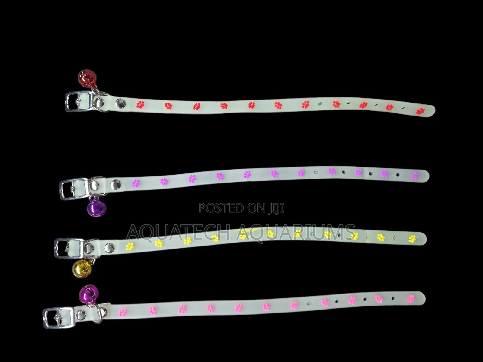 Luminous Cat Collar (Glow in the Dark)
