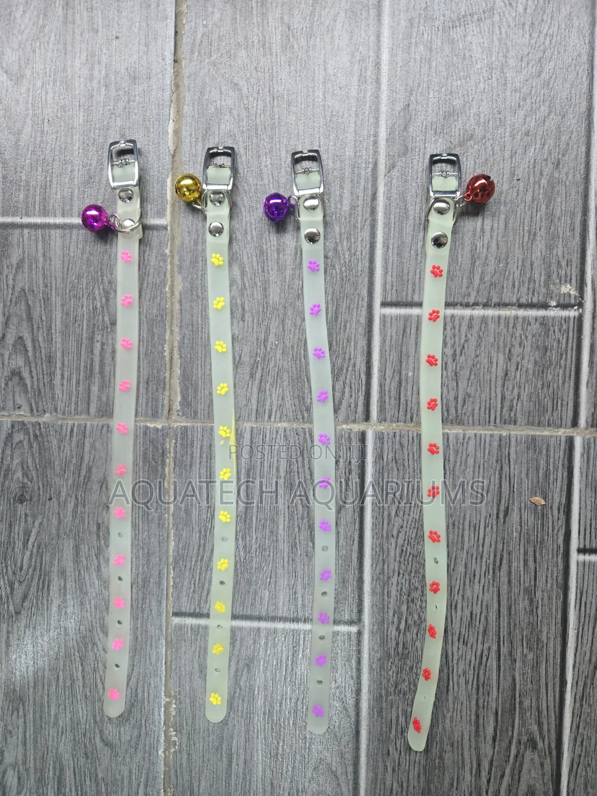 Luminous Cat Collar (Glow in the Dark)