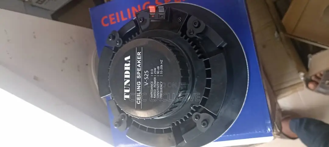 25w Frameless Celling Speaker