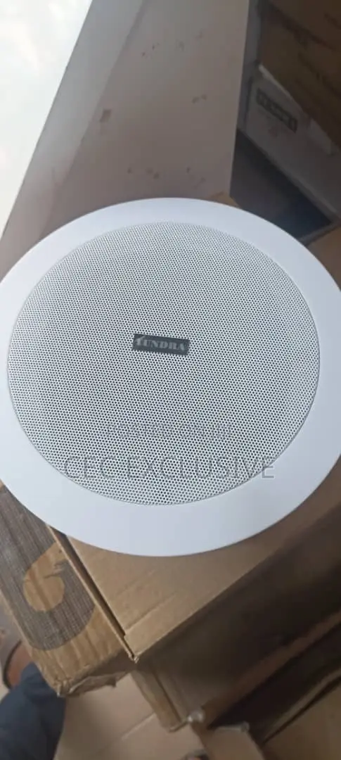 20w Frame Tundra Celling Speaker